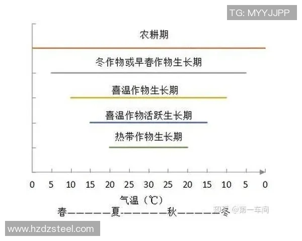 五谷丰登：探寻五种主要农作物对农业可持续发展的影响与未来展望
